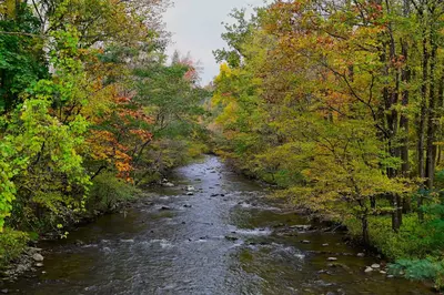 river in fall