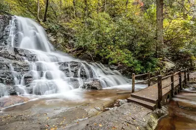 Laurel Falls Trail