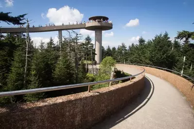 Clingmans Dome 