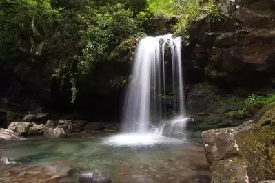 grotto falls smoky mountains