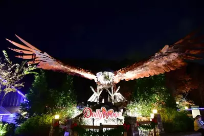 wild eagle statue night