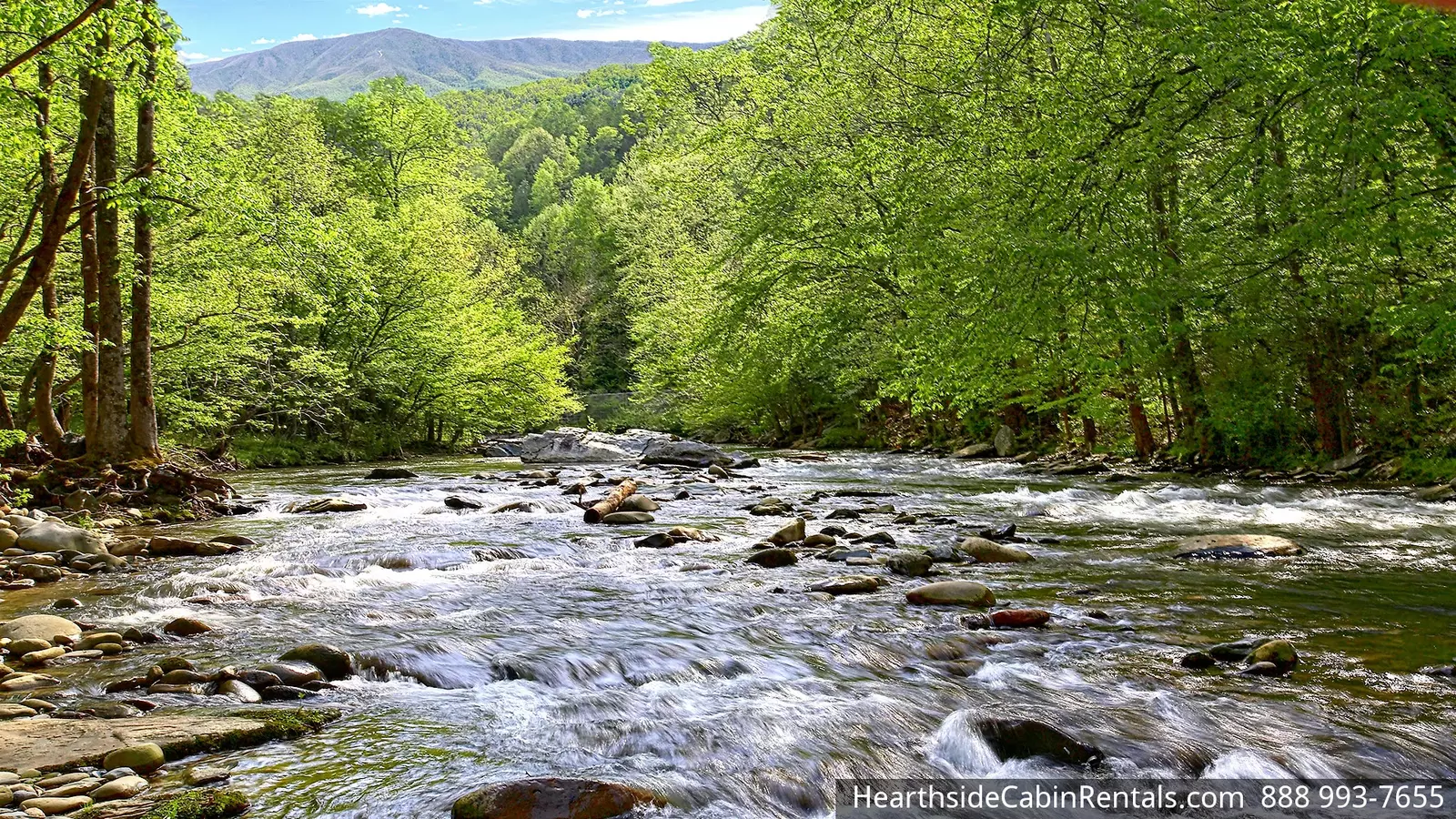 SMOKIES VIEW