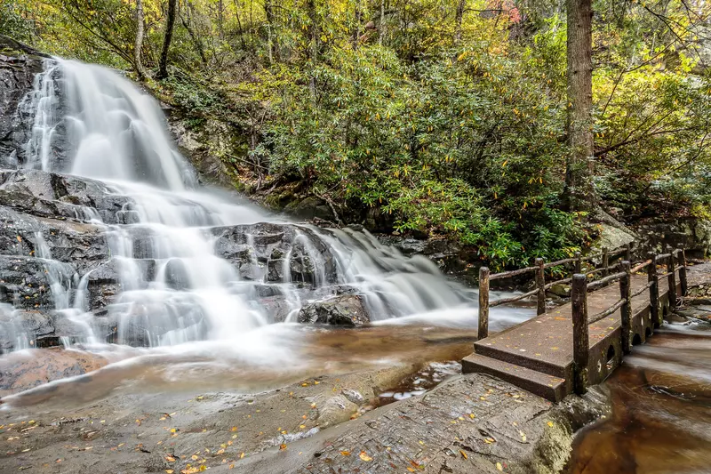 SMOKY BEAR'S RETREAT