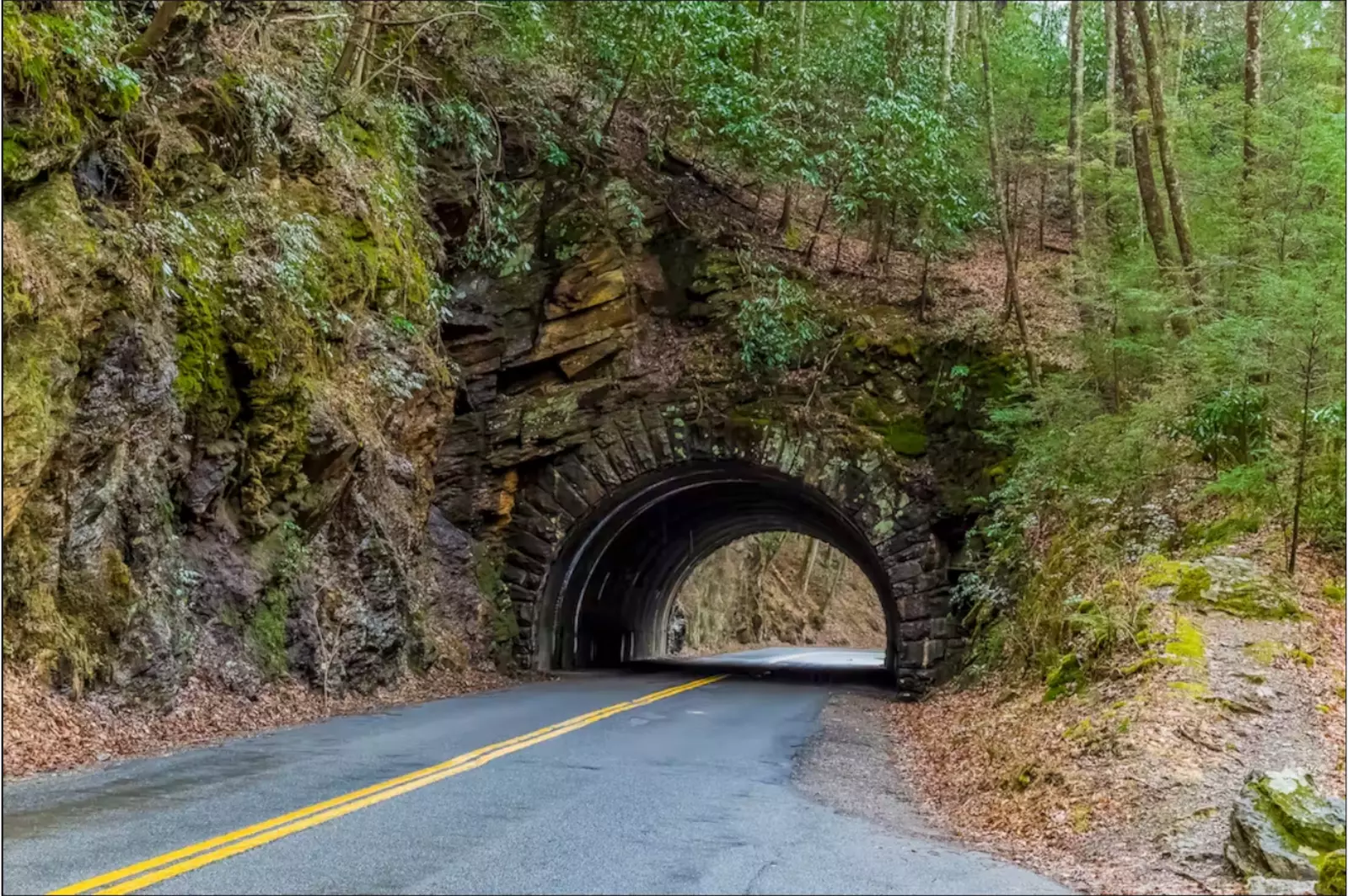 SMOKY BEAR'S RETREAT