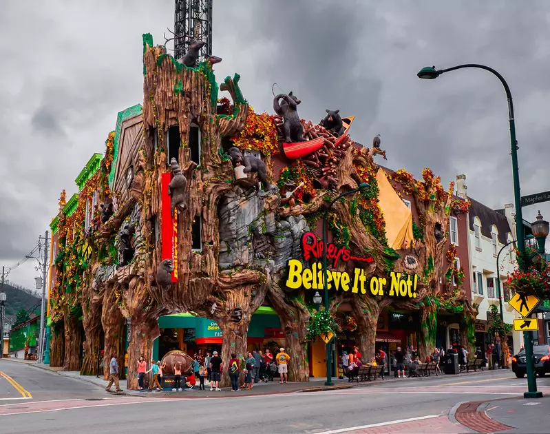 WANDERIN' BEAR LODGE