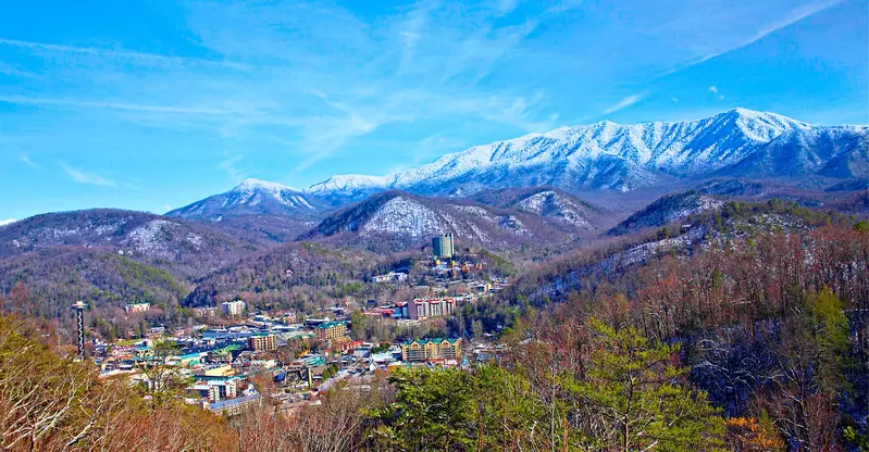 WANDERIN' BEAR LODGE